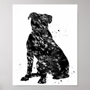 Black American bulldog Bild COOLA Poster