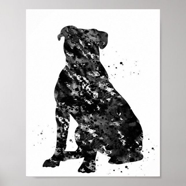 Black American bulldog Bild | COOLA Poster (Framsidan)