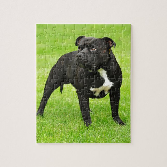 Black Amstaff Pussel (Vertikal)