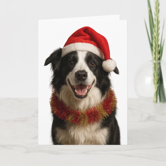 Black and and white Border Collie Christmas card Kort (Framsida)