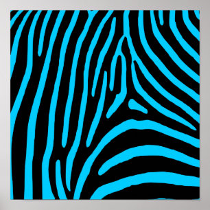 Black and Aqua Zebra ränder Poster