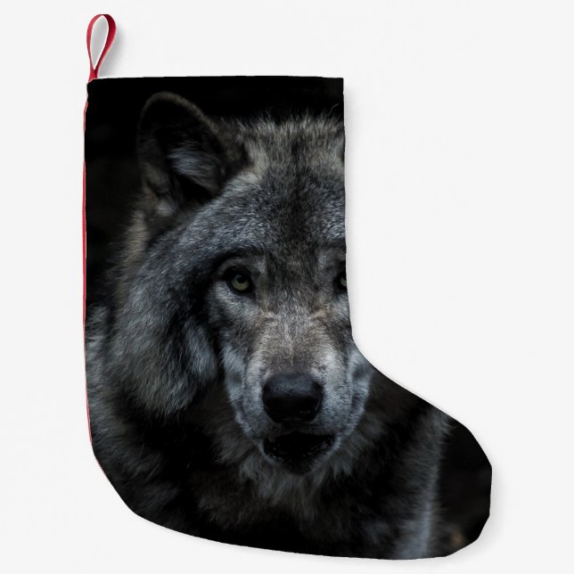BLACK AND BROWN WOLF PAINTING LITEN JULSTRUMPA (Framsidan)