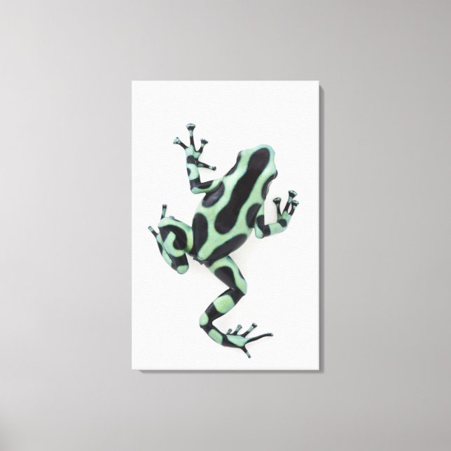 Black and Grönt Poison Dart Frog Canvastryck (Framsida)