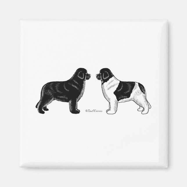 Black and Landseer Newfoundland Hundar Magnet (Framsidan)