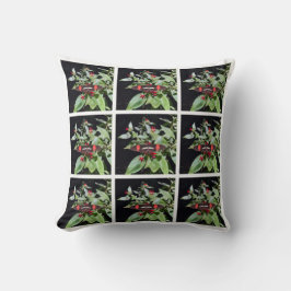 Black and Red Costa Rica Pillow Kudde