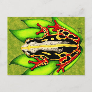 Black and Red Träd Frog Vykort