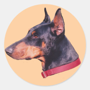 Black and Rust Doberman Pinscher Hund Sticker Runt Klistermärke