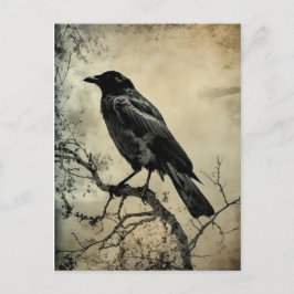 Black and Sepia Gothic Kråka Vykort