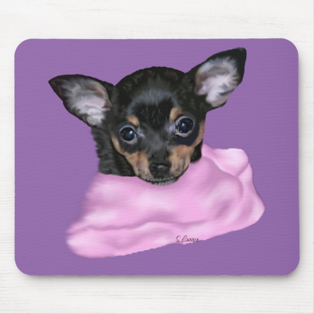 Black and Tan Chihuahua Puppy Musmatta (Framsidan)