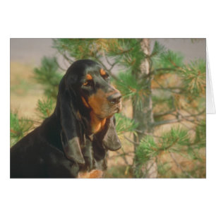 Black and Tan Coonhound Hälsningskort