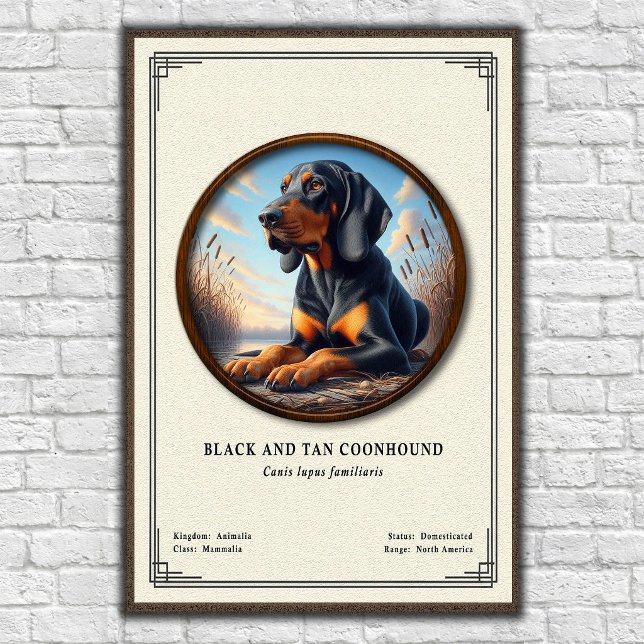 Black and Tan Coonhound Zoologisk Serie Poster (Skapare uppladdad)