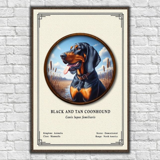 Black and Tan Coonhound Zoologisk Serie Poster (Skapare uppladdad)