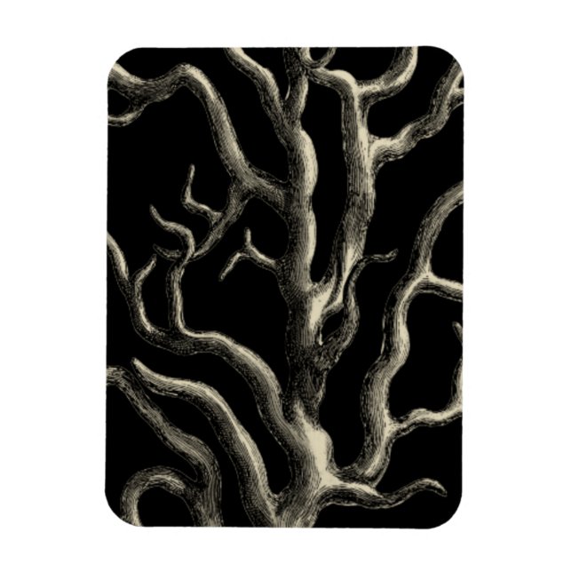 Black and Tan Coral Magnet (Vertikal)