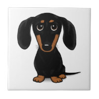 Black and Tan Dachshund Cute Weiner Hund
