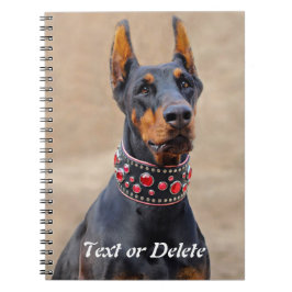 Black and Tan Doberman Pinscher in Jeweled collar Anteckningsbok