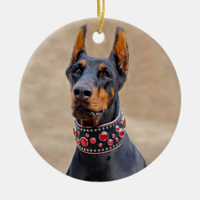 Black and Tan Doberman Pinscher in Jeweled collar Julgransprydnad Keramik (Framsidan)