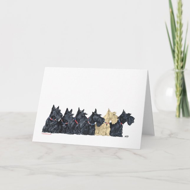 Black and Wheaten Scottish Terriers Kort (Framsida)