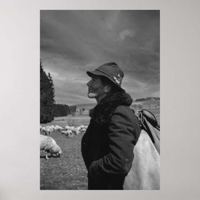 Black and White 1968 German Sheep Herder Poster (Framsidan)