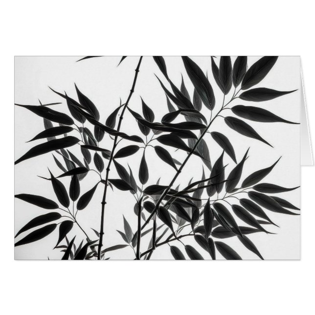Black and White Bamboo Plant Blank inuti Hälsningskort (Framsidan Horizontal)