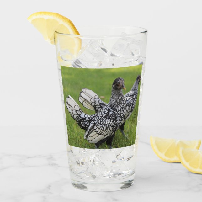 Black and White Bantam Chicken Collectors Beverage Glaskopp (Framsida Ice)