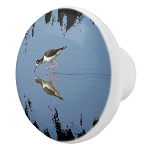 Black and White Bird Photo Blue Vatten Beach House Knopp