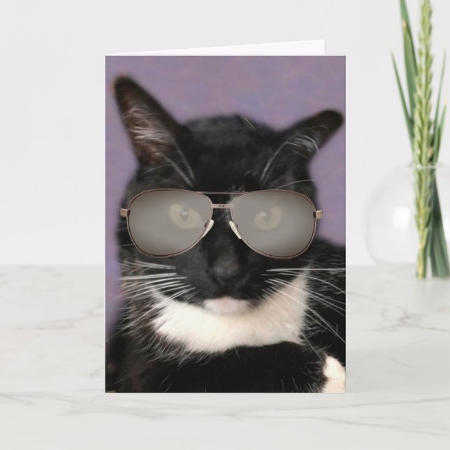 Black and White Bossy Cat Birthday Kort (Framsida)