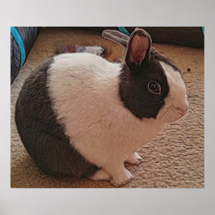 Black and White Bunny Poster