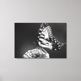 Black and White Butterfly Canvas