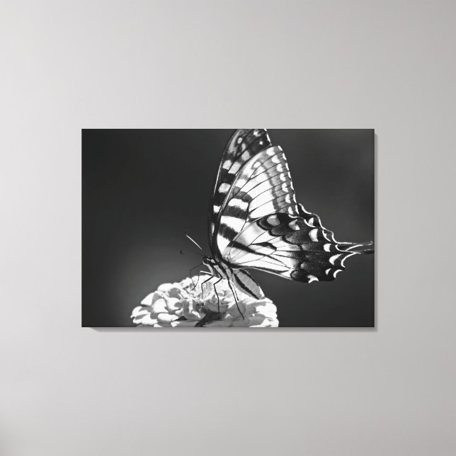 Black and White Butterfly Canvas (Framsida)