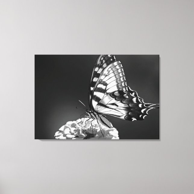 Black and White Butterfly Canvas (Framsida)
