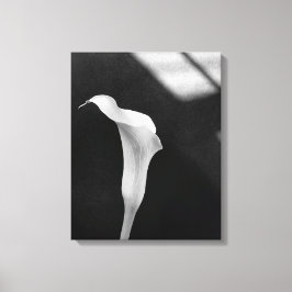 Black and White Calla Lily Canvastryck