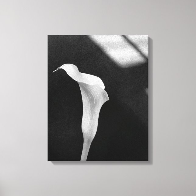 Black and White Calla Lily Canvastryck (Framsida)