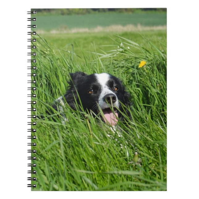 Black and White Collie in Grass Anteckningsbok (Framsidan)