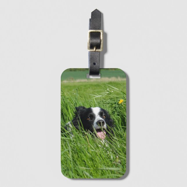 Black and White Collie in Grass Bagagebricka (Framsida vertikal)