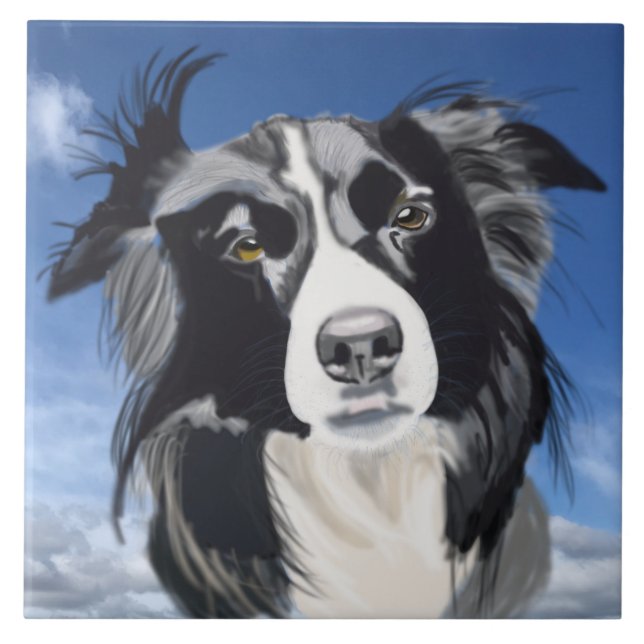 Black and White Collie Kakelplatta (Framsidan)