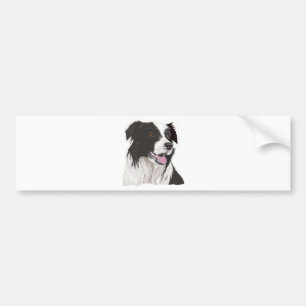 Black and White Collie med Brown öga Bildekal