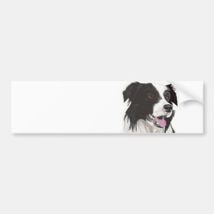 Black and White Collie med Brown öga Bumper Stic Bildekal