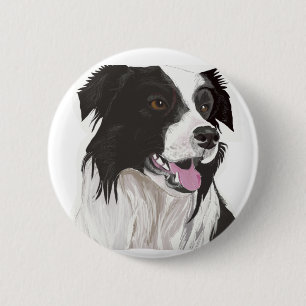 Black and White Collie med Brown öga Knapp