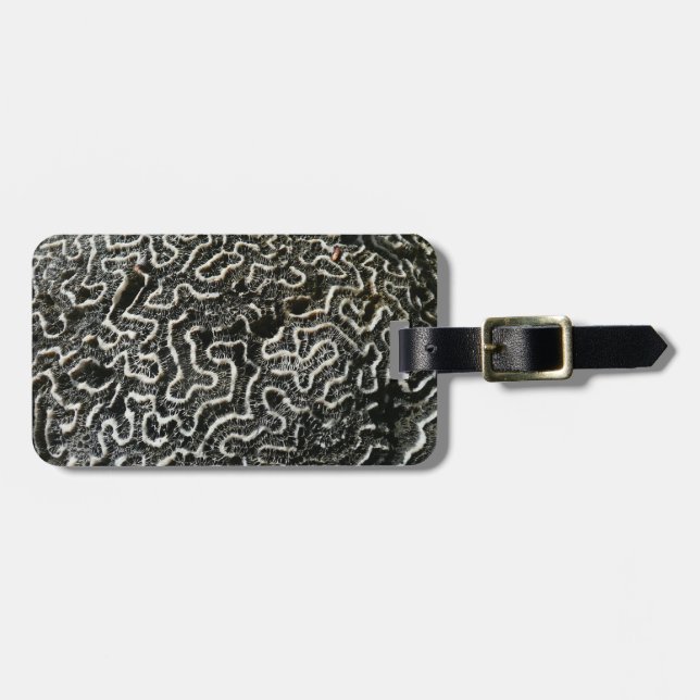 Black and White Coral II Abstrakt Nature Photo Bagagebricka (Horisontell Framsida)