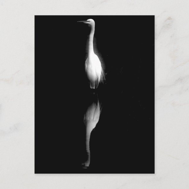 Black and White Crane Photo Vykort (Framsida)