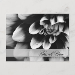 Black and White Dahlia Flower Tack Vykort