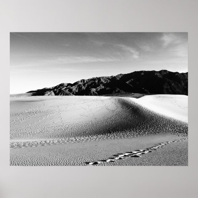 Black and White Death Valley Sand Dunes Poster (Framsidan)