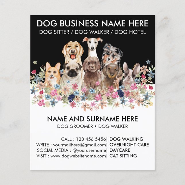 Black and White Dog Walker Pet Sitter Groomer Flygblad (Framsidan)