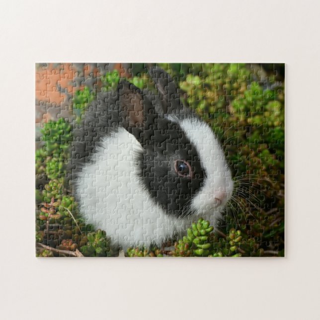 Black and White Dutch Bunny Rabbit Pussel (Horisontell)