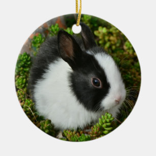 Black and White Dutch Dwarf Mini Bunny Rabbit Julgransprydnad Keramik