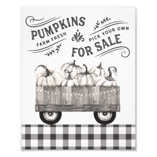 Black and White Farmhouse Pumpkins Wall Art Fototryck