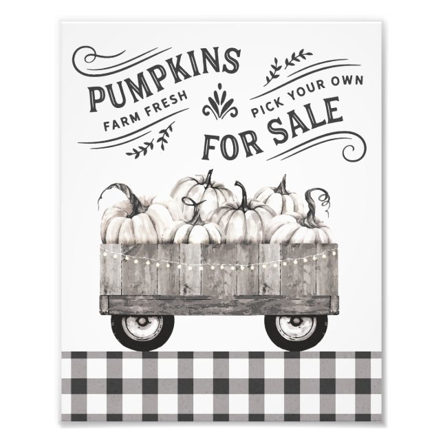 Black and White Farmhouse Pumpkins Wall Art Fototryck (Framsidan)