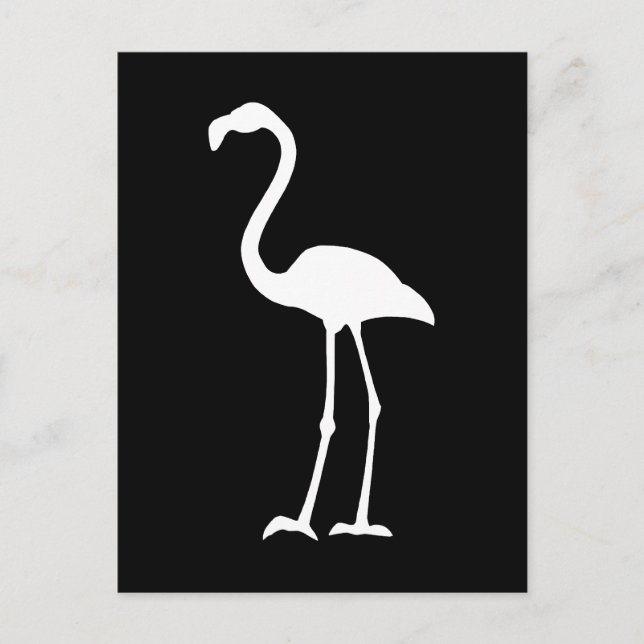 Black and White Flamingo Vykort (Framsida)