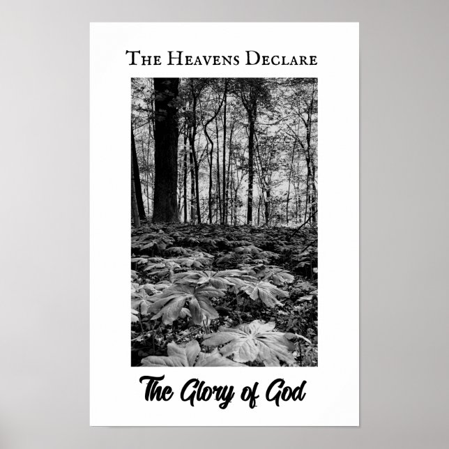 Black and White Forest Glory of God Poster (Framsidan)