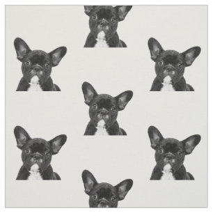 Black and White Fransk Bulldog Tyg